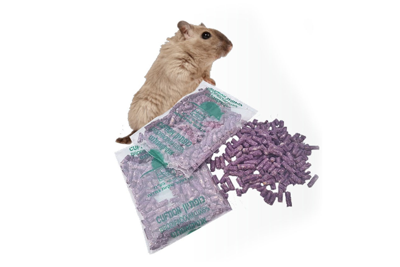 Placeholder image